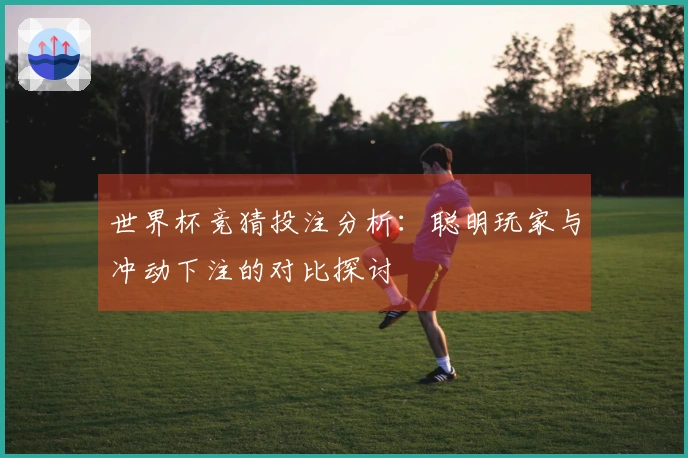 世界杯竞猜投注分析：聪明玩家与冲动下注的对比探讨