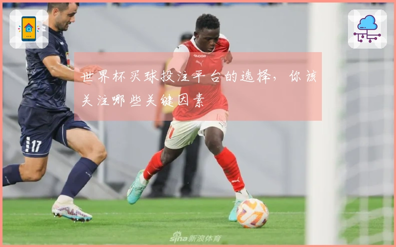 世界杯买球投注平台的选择，你该关注哪些关键因素