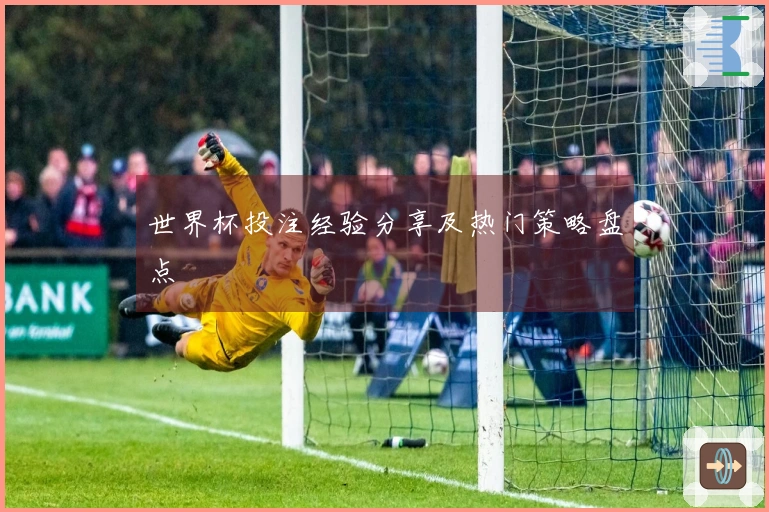 世界杯投注经验分享及热门策略盘点