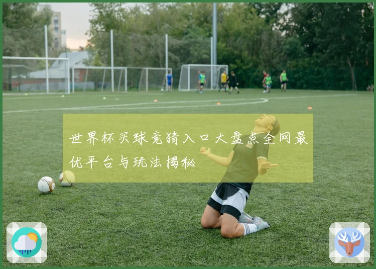 世界杯买球竞猜入口大盘点全网最优平台与玩法揭秘