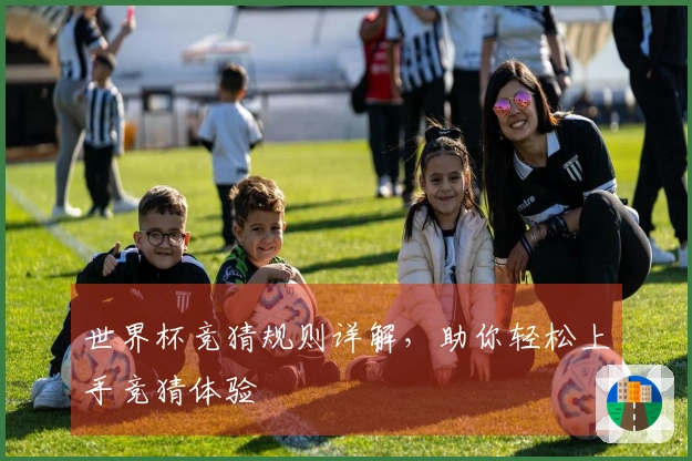 世界杯竞猜规则详解，助你轻松上手竞猜体验