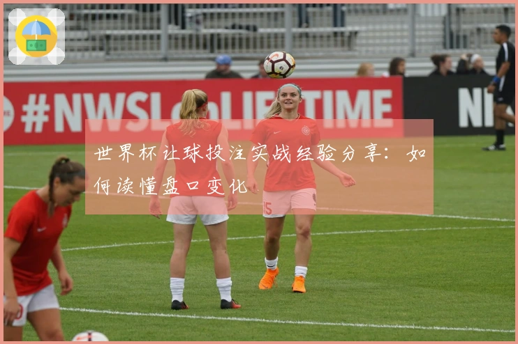 世界杯让球投注实战经验分享：如何读懂盘口变化