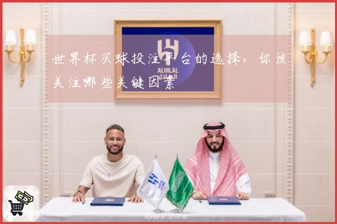 世界杯买球投注平台的选择，你该关注哪些关键因素