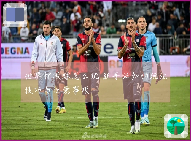 世界杯滚球怎么玩 新手必知的玩法技巧与注意事项