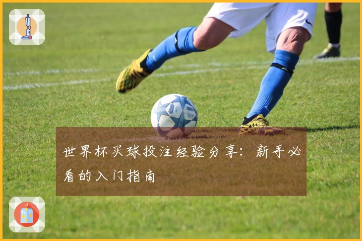 世界杯买球投注经验分享：新手必看的入门指南