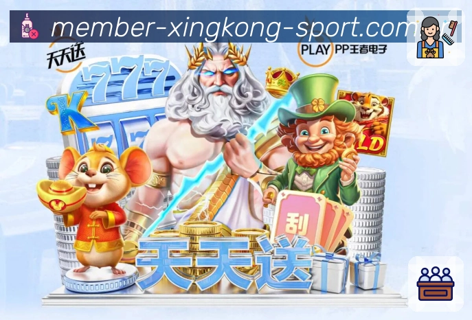 xingkong安全校验